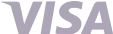 Visa Payment